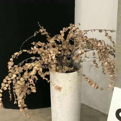 鼓楼FurryQQ群介绍